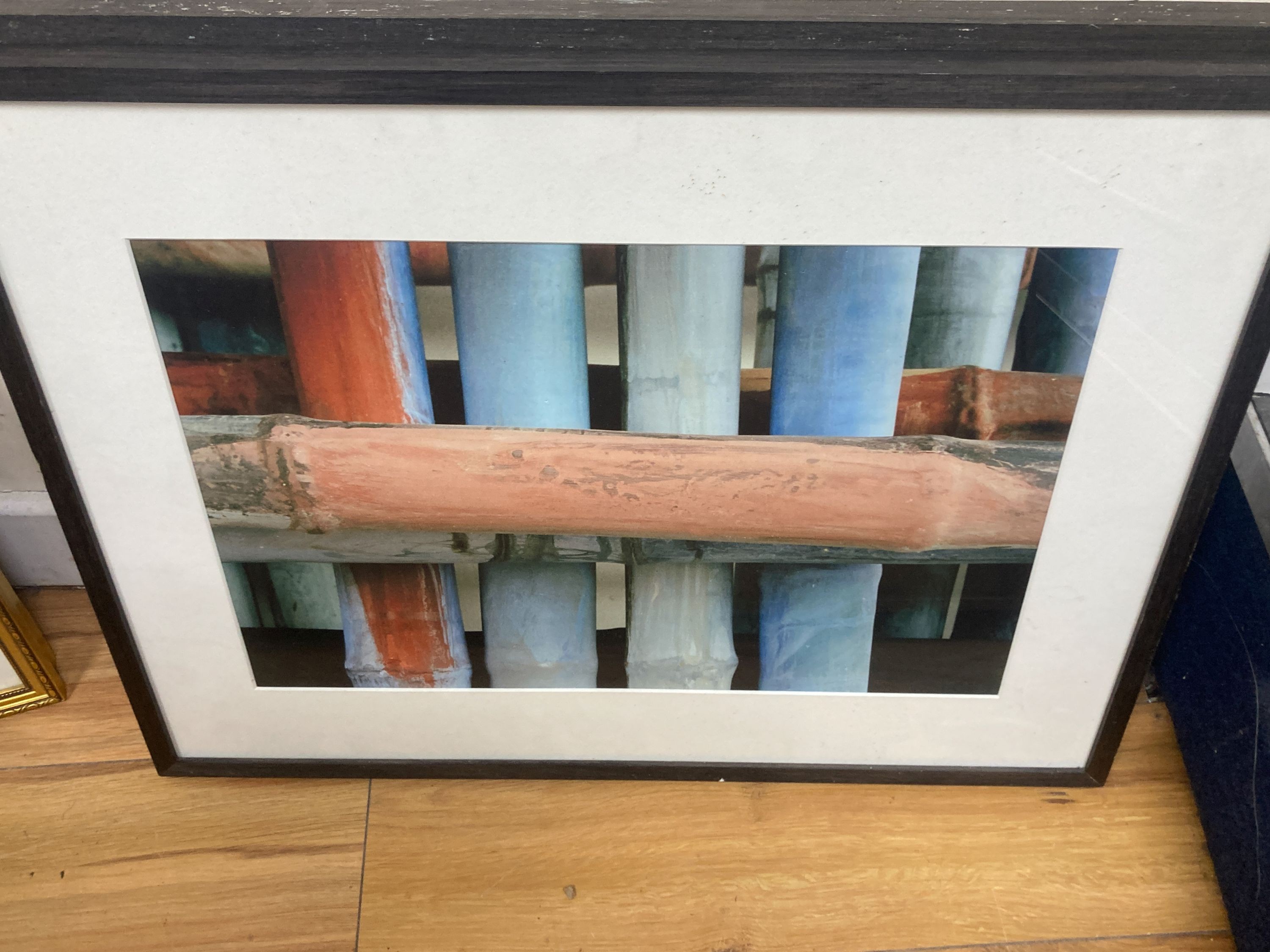 Barbara Nichols, five photographic studies of bamboo, 31 x 47cm.